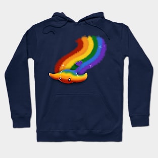 Rainbow Ray Hoodie